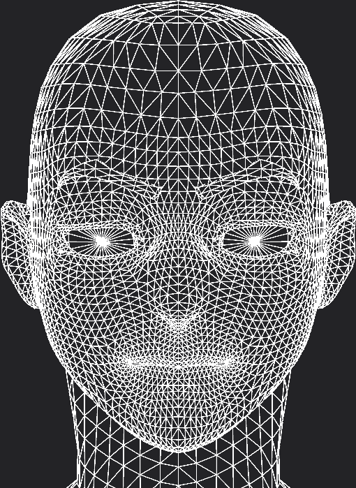 A wireframe rendering of a character's face with a neutral expression