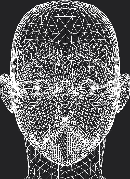 Wireframe rendering of a frowning character