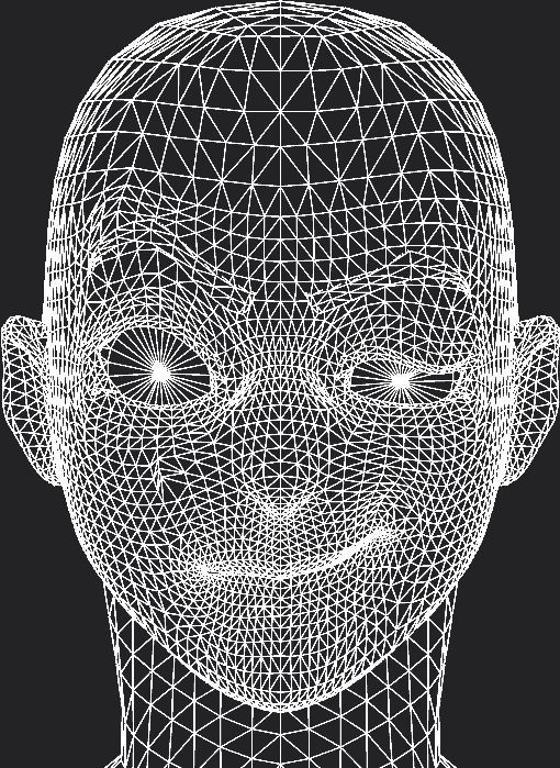 Wireframe rendering of a smirking character